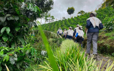¿Qué es un Coffee Tour y qué se hace durante la experiencia?