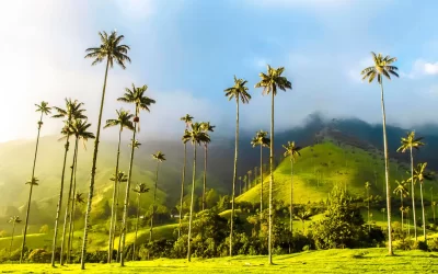 ¿Qué hacer en Salento, Quindío?